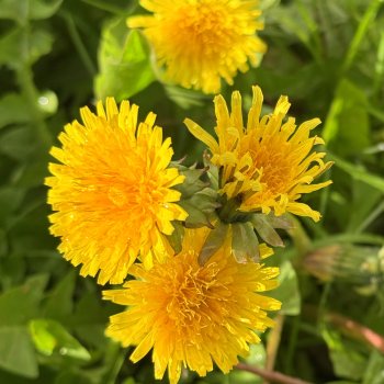 После дождя