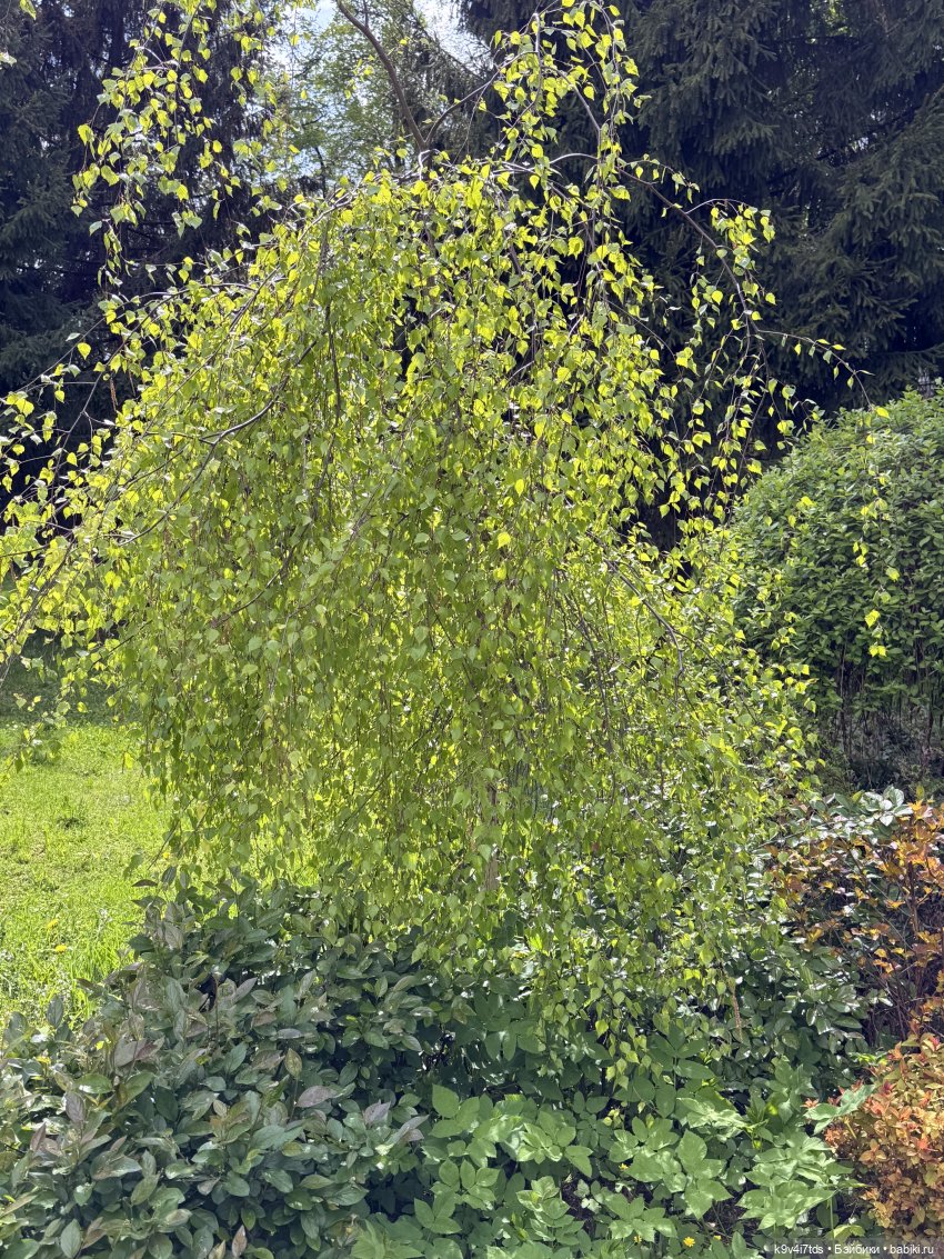 Цветущая весна Элис, часть вторая