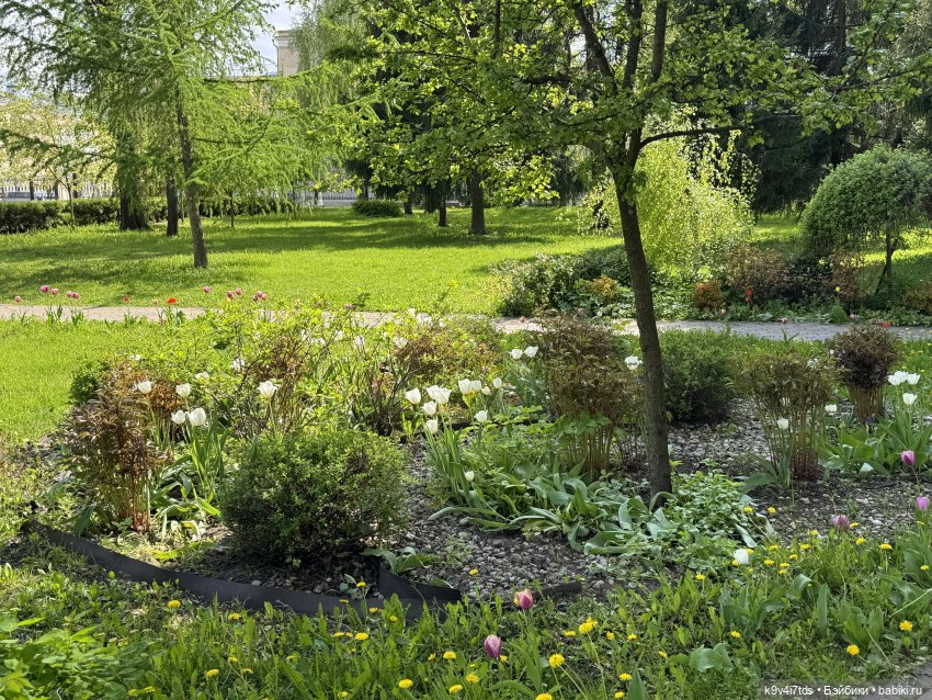 Цветущая весна Элис, часть вторая