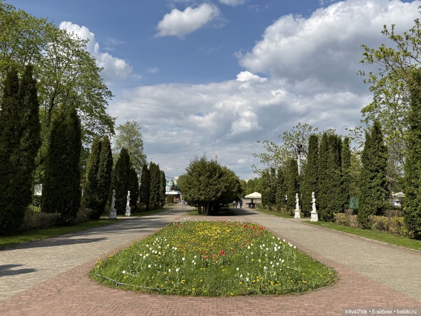 Цветущая весна Элис, часть третья