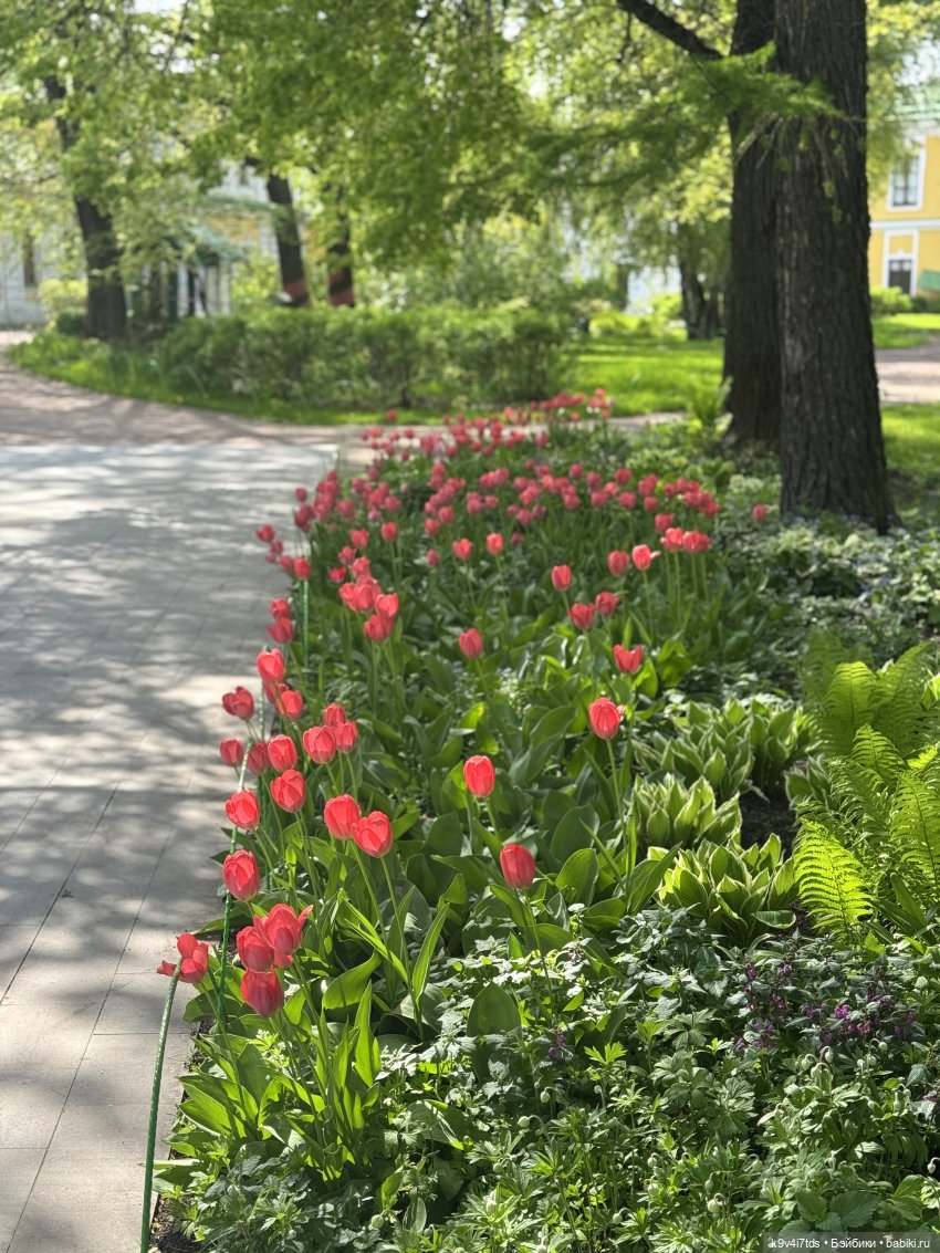 Цветущая весна Элис, часть третья