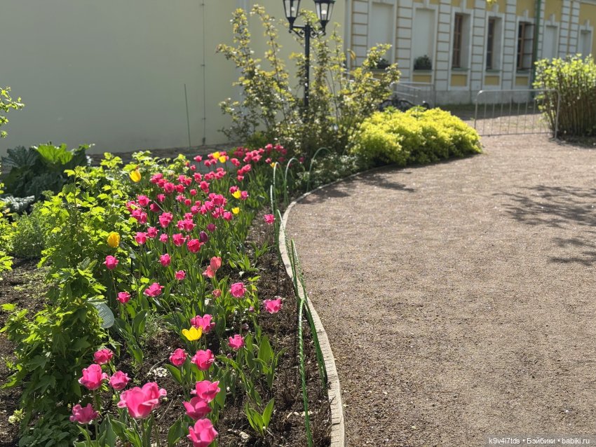 Цветущая весна Элис, часть третья