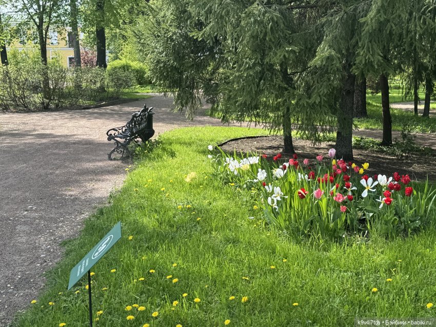 Цветущая весна Элис, часть третья