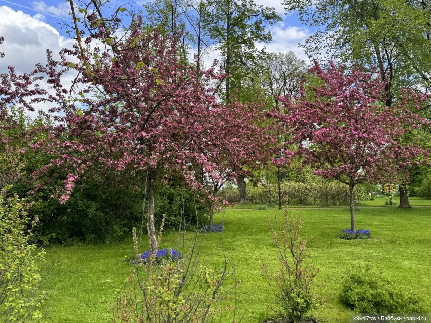 Цветущая весна Элис, часть третья (фото 10)