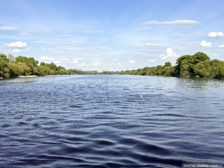 Цветущая весна Элис, заключительная часть
