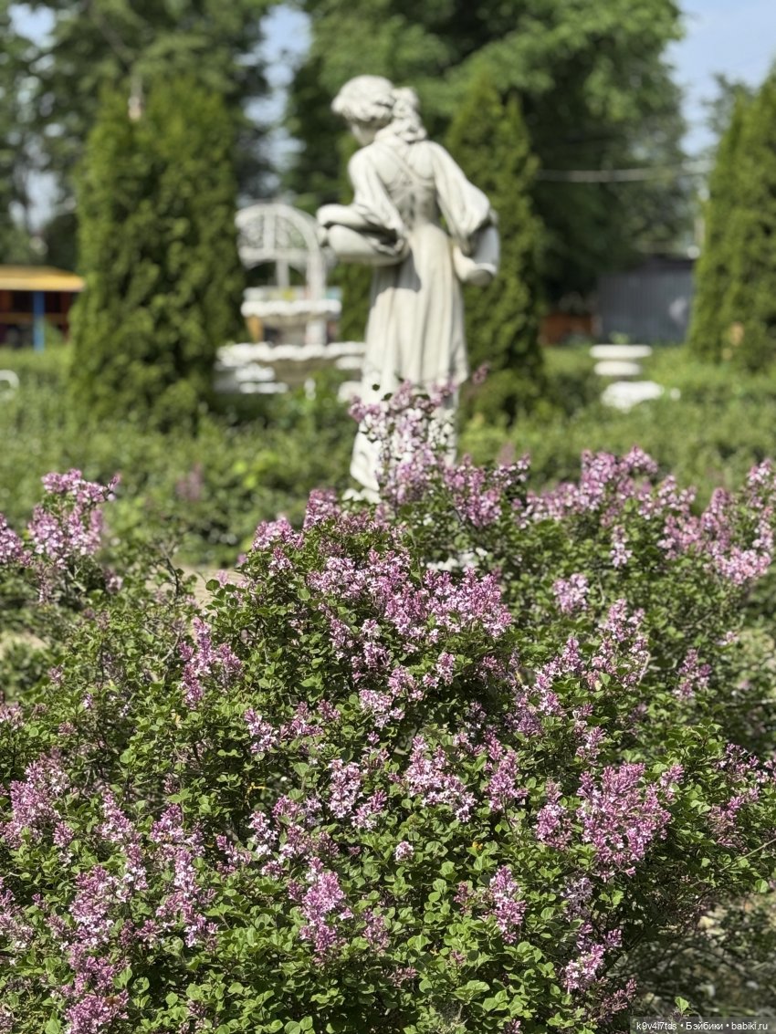 Элис в "Сиреневом саду", город Тверь