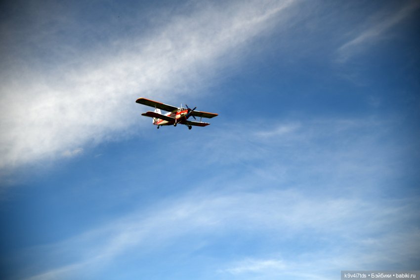 Солнечное поле — Куклы Dianna Effner (Эффнер) из винила: Little Darling (фото 10)