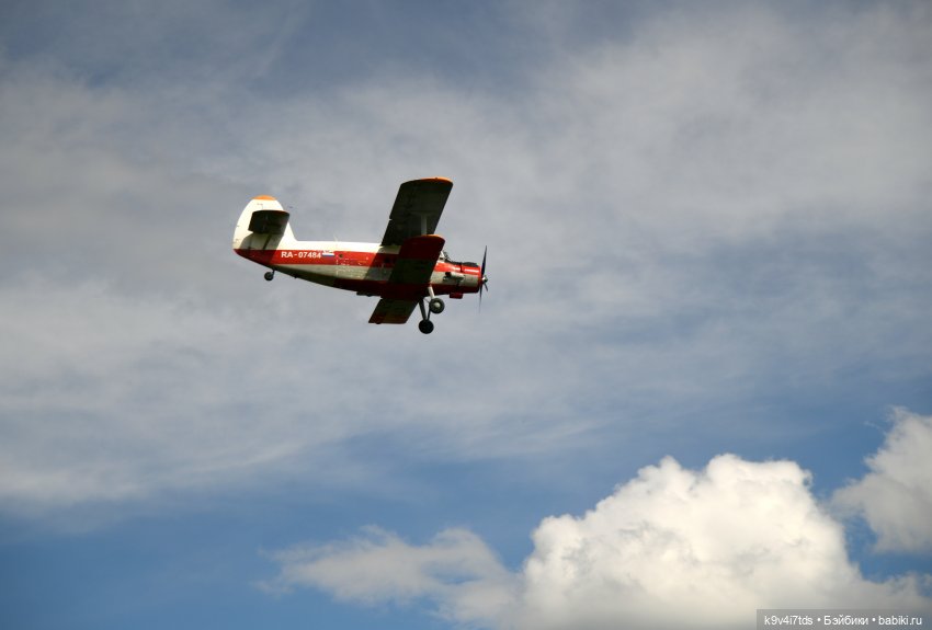Солнечное поле — Куклы Dianna Effner (Эффнер) из винила: Little Darling
