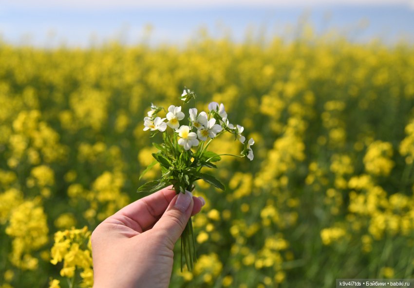 Солнечное поле — Куклы Dianna Effner (Эффнер) из винила: Little Darling