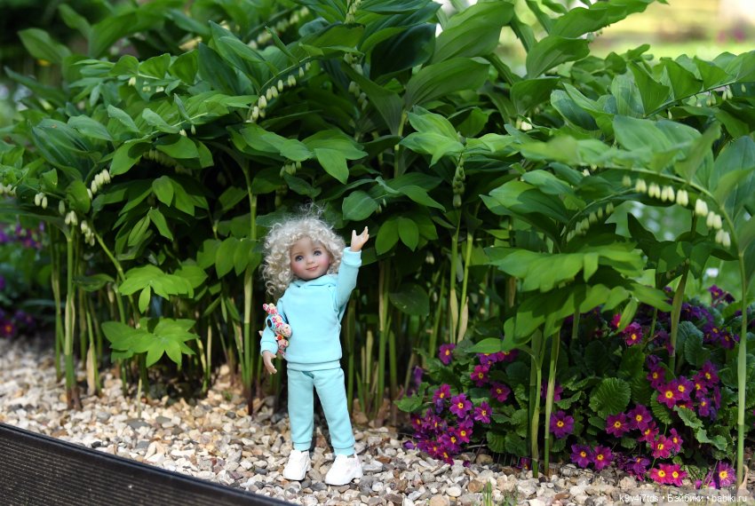 Элис в Берново (Тверская область)