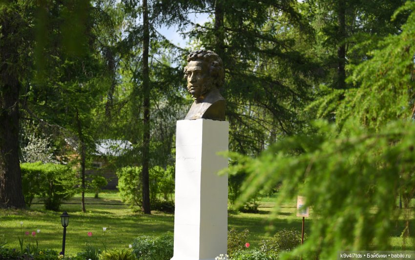 Элис в Берново (Тверская область) (фото 4)