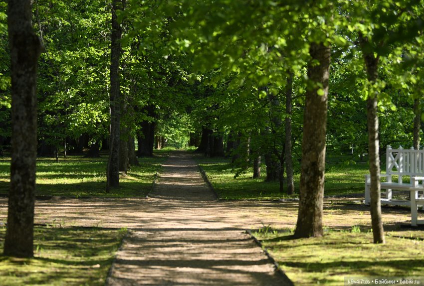 Элис в Берново (Тверская область)