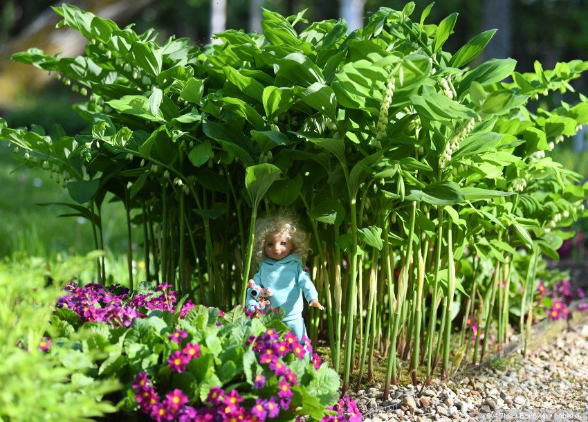 Элис в Берново (Тверская область)