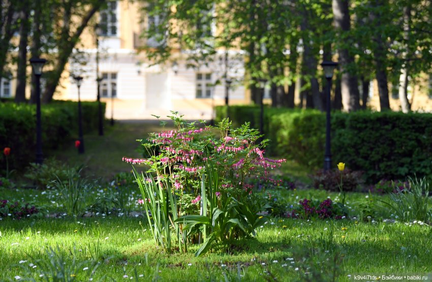 Элис в Берново (Тверская область)
