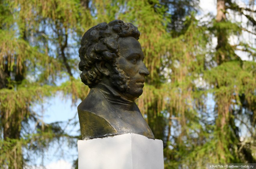 Элис в Берново (Тверская область) (фото 5)