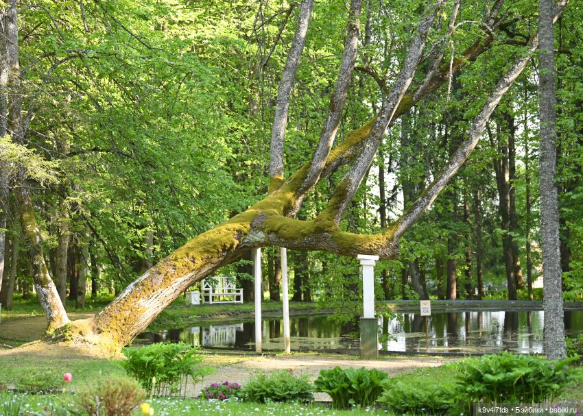 Элис в Берново (Тверская область)