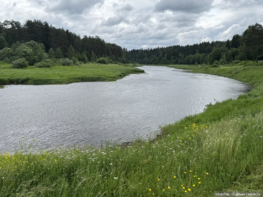 Карли на празднике "Троицких гуляний" в Усадьбе "Василёво"