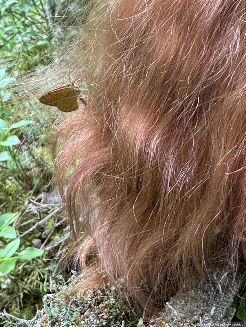 Лесная прогулка Элис и Ассоль