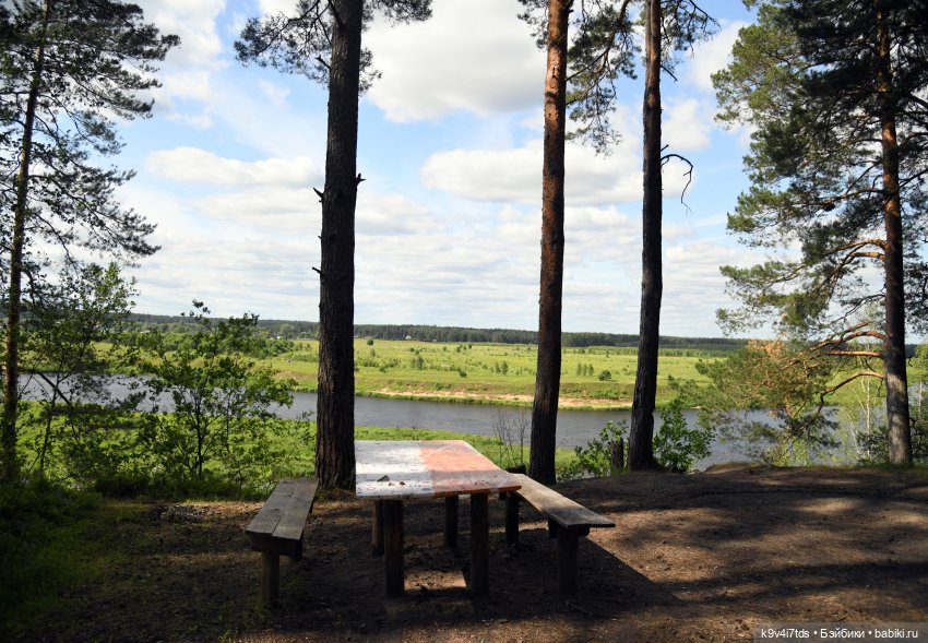 Лесная прогулка Элис и Ассоль (фото 9)