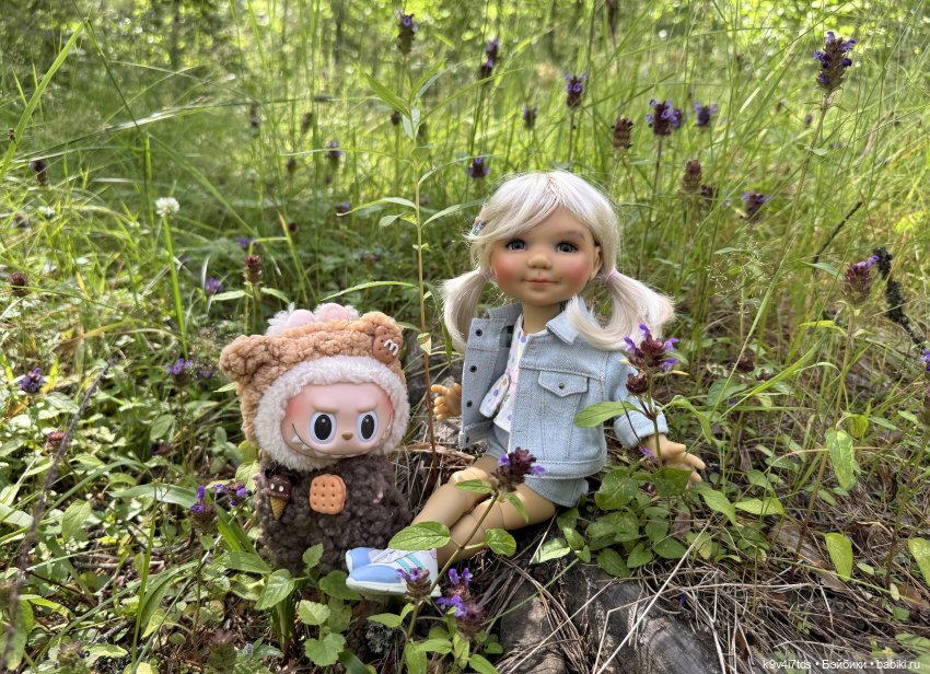 По грибы, по ягоды — Куклы Meadow dolls (Медовушки): BJD (БЖД)