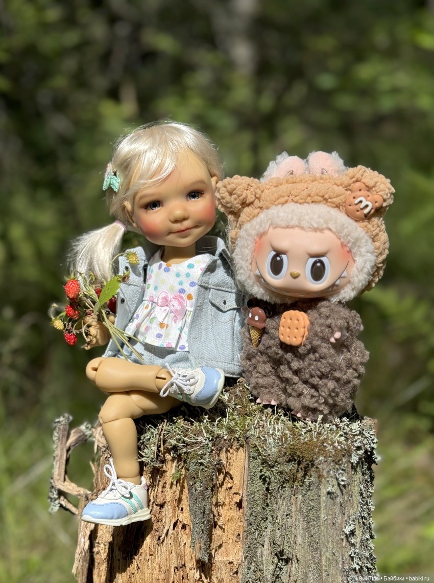 По грибы, по ягоды — Куклы Meadow dolls (Медовушки): BJD (БЖД)
