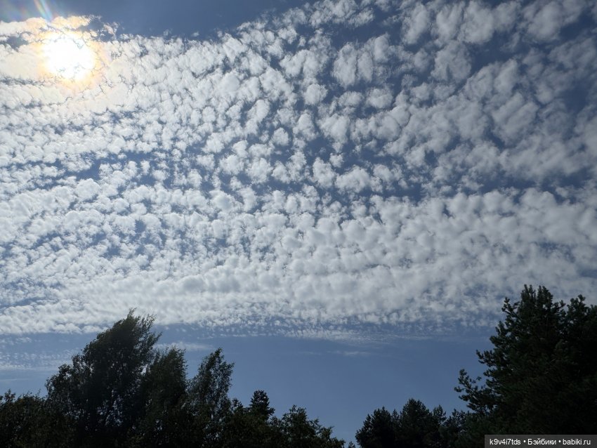 Путешествие Брианны на Тьму (фото 8)