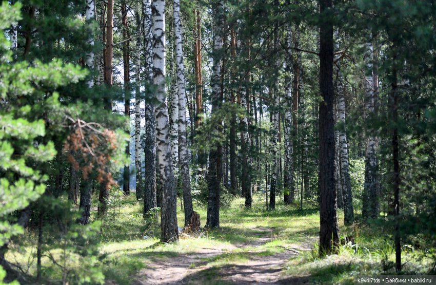 Путешествие Брианны на Тьму (фото 2)