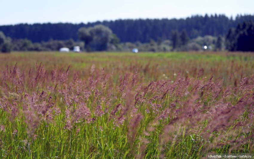 Путешествие Брианны на Тьму