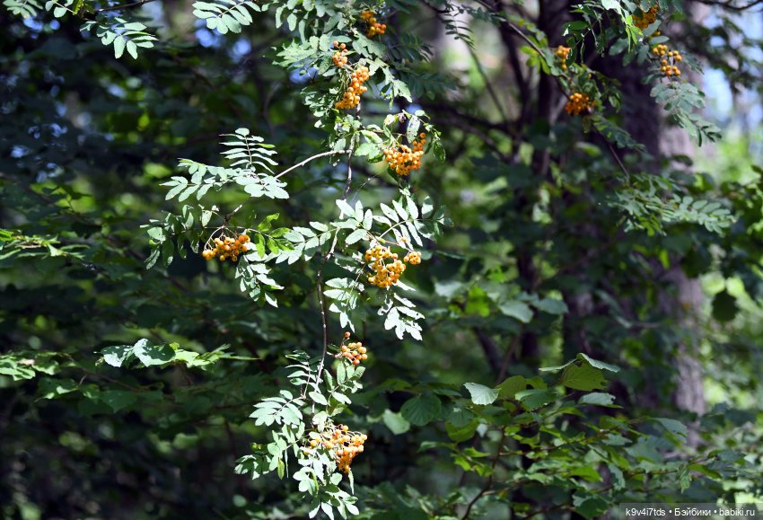 Путешествие Брианны на Тьму (фото 6)