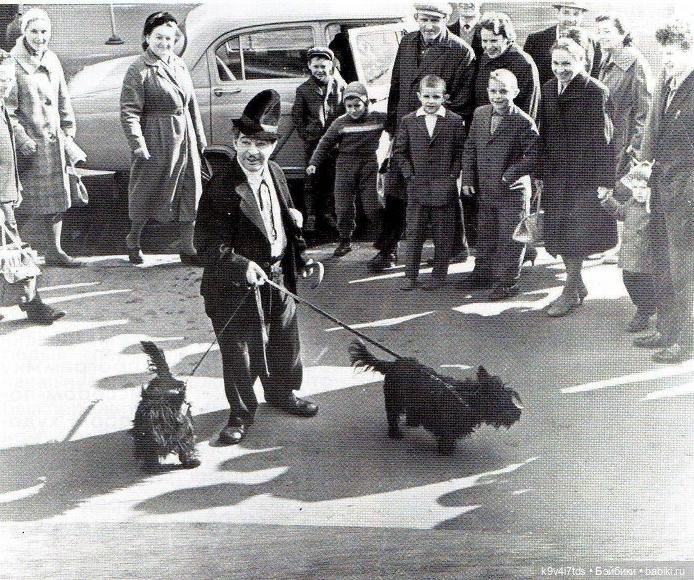 Первый "Карандаш-фест" в Старице (фото 9)