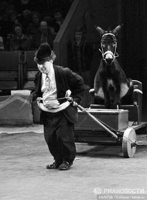 Первый "Карандаш-фест" в Старице (фото 8)