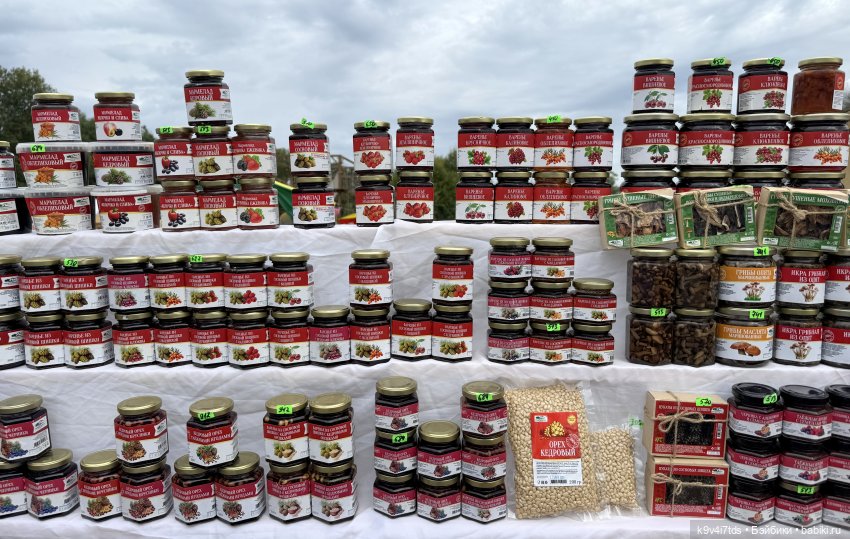 Роми на Фестивале карельского пирога "Калитка", продолжение