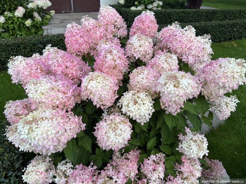 Роми в "Саду Любви" — Куклы Heidi Plusczok (Хайди/Хейди Плюсчок) — фото