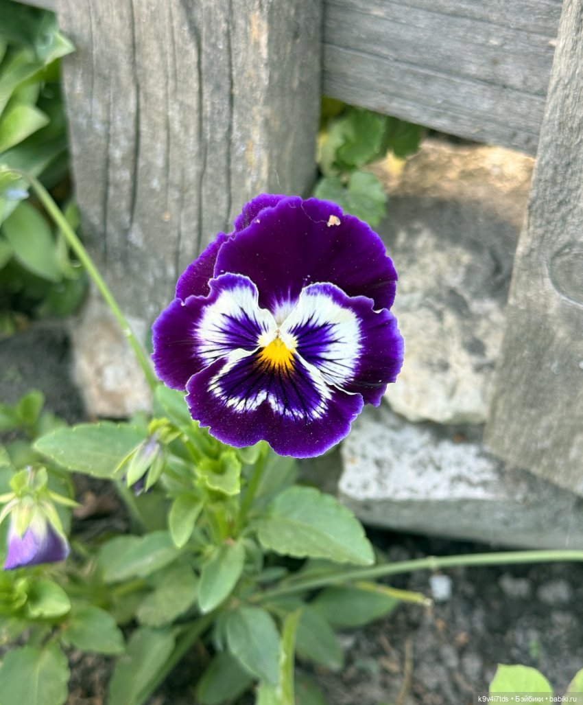 Роми в "Саду Любви" — Куклы Heidi Plusczok (Хайди/Хейди Плюсчок) — фото