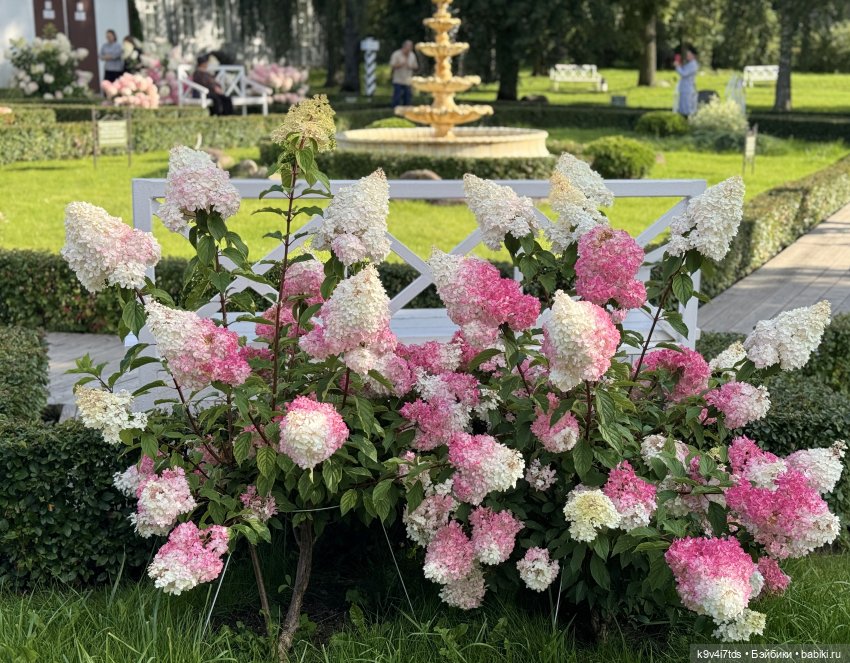 Роми в "Саду Любви" — Куклы Heidi Plusczok (Хайди/Хейди Плюсчок) — фото