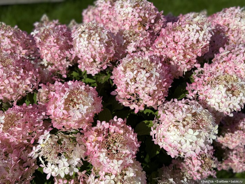 Роми в "Саду Любви" — Куклы Heidi Plusczok (Хайди/Хейди Плюсчок) — фото