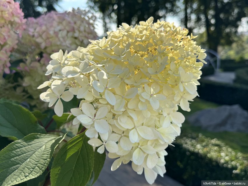 Лето в Сентябре — Куклы Lorella Falconi (Лорелла Фалькони): винил (фото 10)