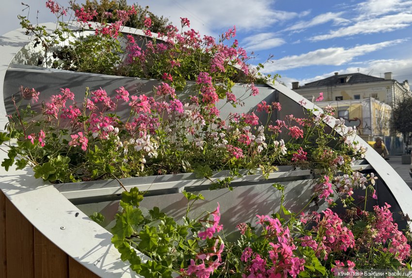 Тверская осень и "Крылья Удачи"