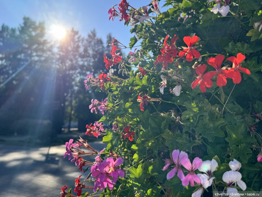 Тверская осень и "Крылья Удачи"