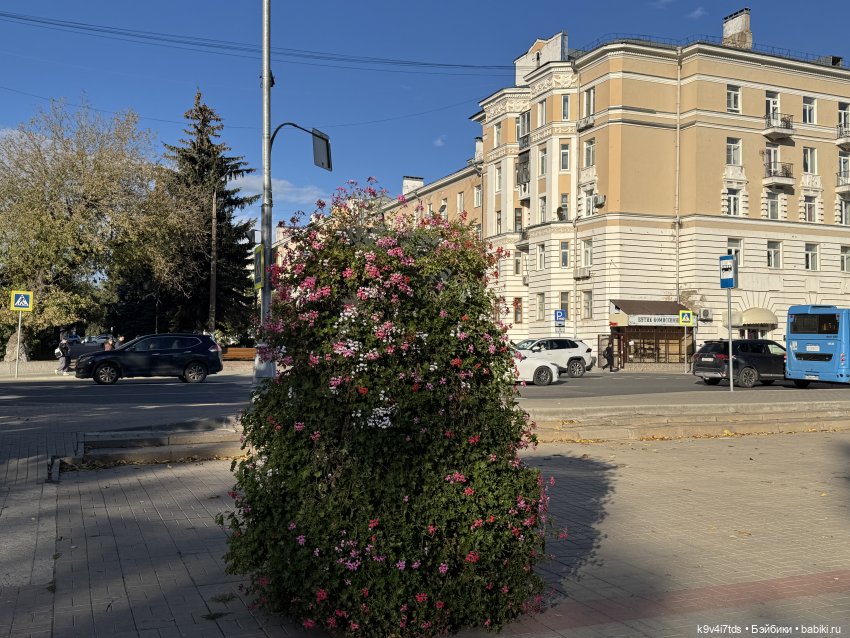 Тверская осень и "Крылья Удачи"