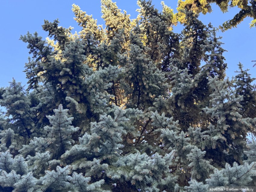 Тверская осень и "Крылья Удачи"