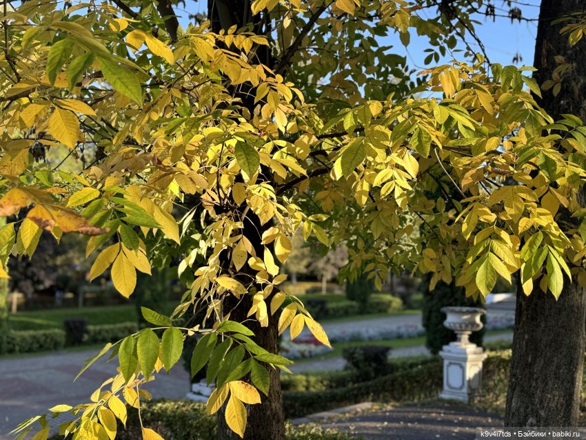 Тверская осень и "Крылья Удачи", продолжение