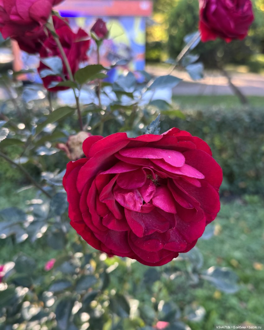 Тверская осень и "Крылья Удачи", продолжение