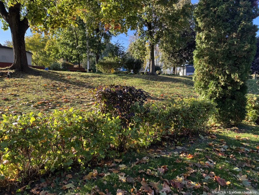 Тверская осень и "Крылья Удачи", продолжение