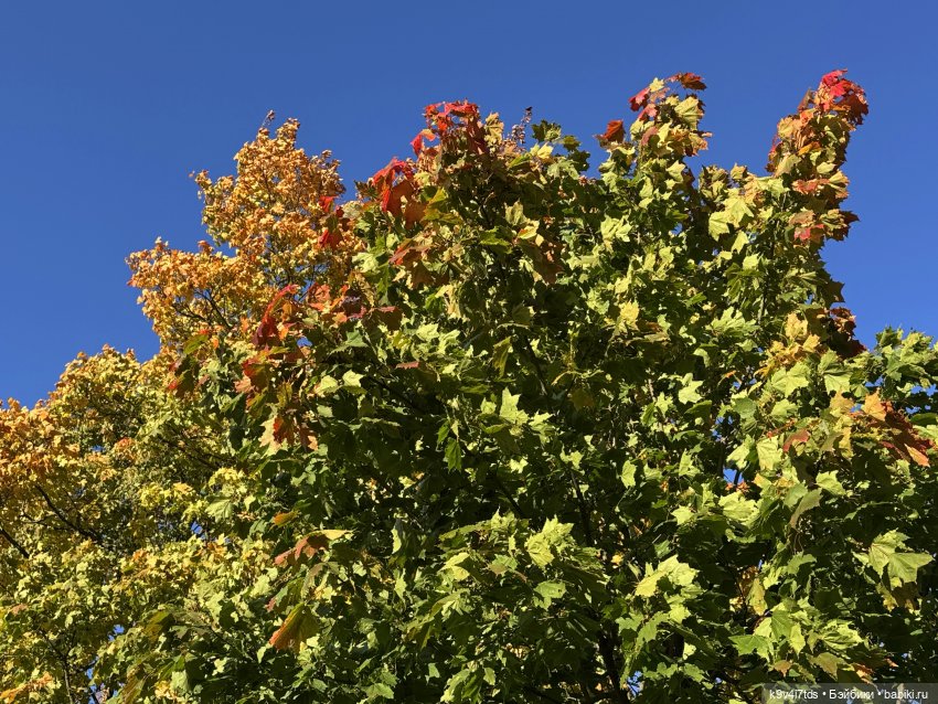 Тверская осень и "Крылья Удачи", продолжение