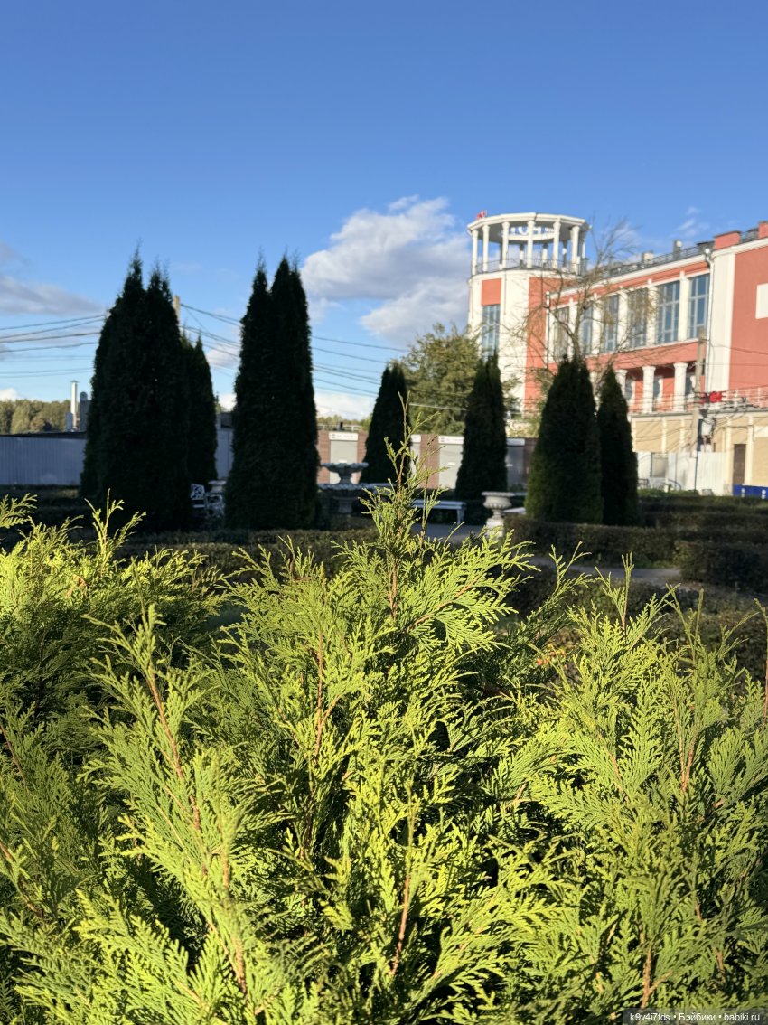 Тверская осень и "Крылья Удачи", продолжение