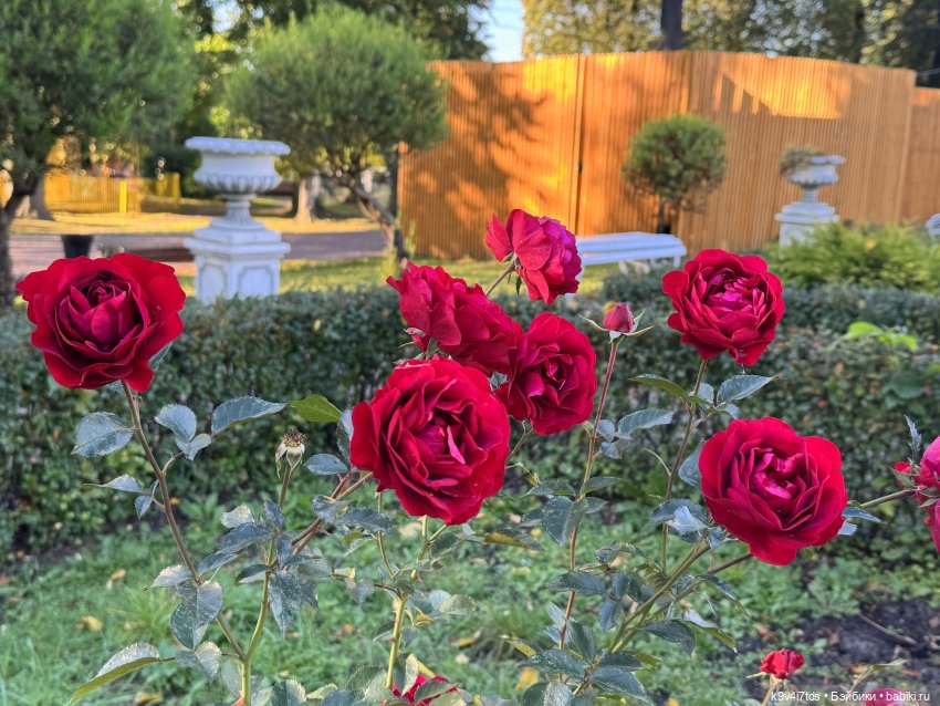 Тверская осень и "Крылья Удачи", продолжение