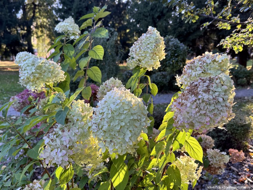 Тверская осень и "Крылья Удачи", продолжение