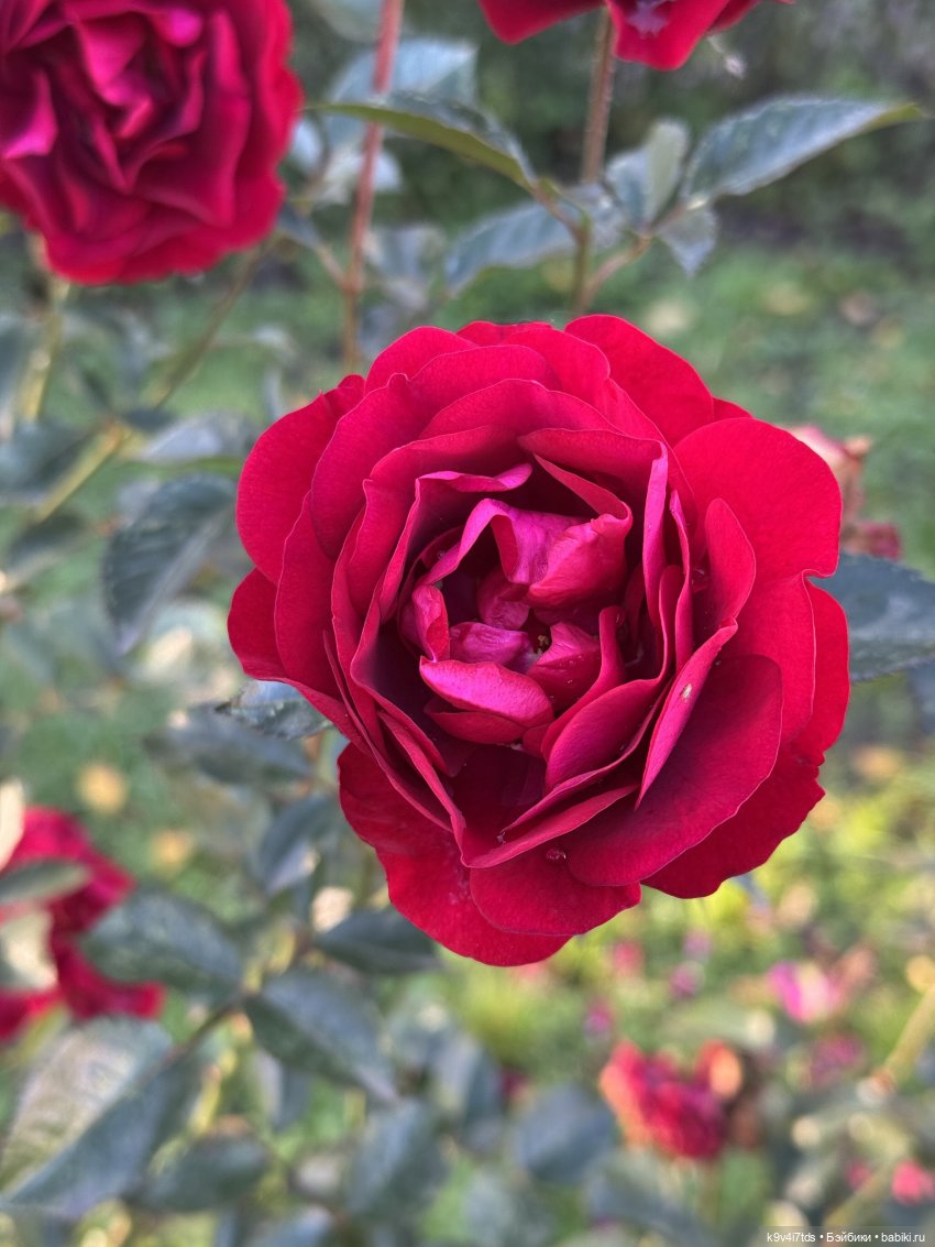 Тверская осень и "Крылья Удачи", продолжение