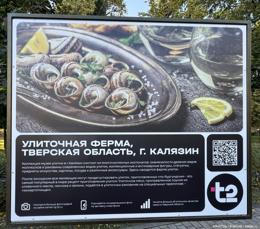 Тверская осень и "Крылья Удачи", продолжение (фото 9)